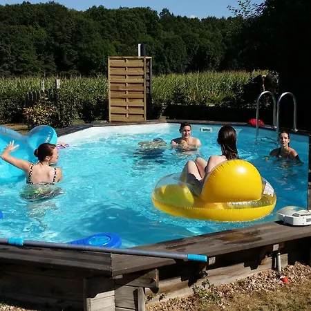 Au Calme Avec Piscine, Vue Foret Troncais - Fr-1-489-139