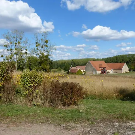 Nyaraló Au Calme Avec Piscine, Vue Foret Troncais - Fr-1-489-139