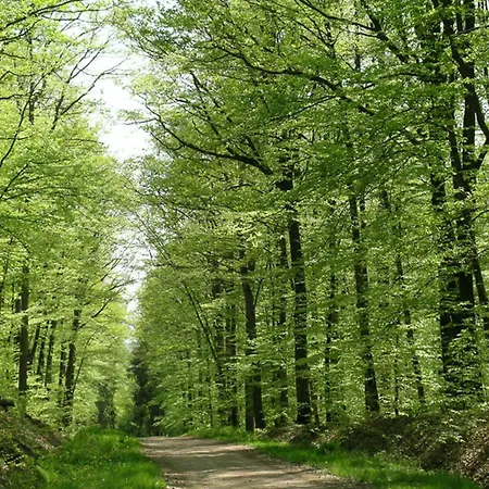 Au Calme Avec Piscine, Vue Foret Troncais - Fr-1-489-139 * Isle-et-Bardais